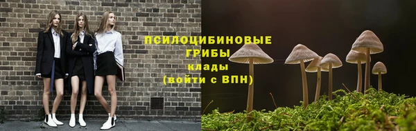 гашик Медногорск
