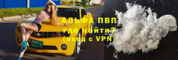 гашик Медногорск