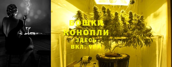 гашик Медногорск