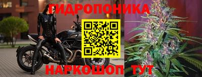 COCAINE Гатчина
