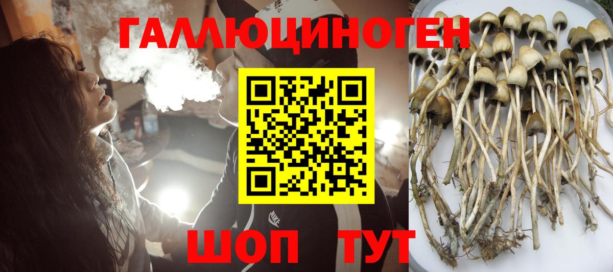 Галлюциногенные грибы MAGIC MUSHROOMS Иваново