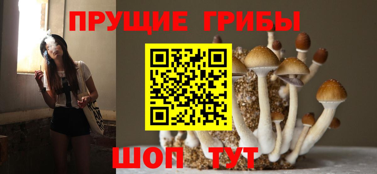 Иваново  Псилоцибиновые грибы Cubensis  Вход с VPN  Галлюциногенные грибы прущие грибы 